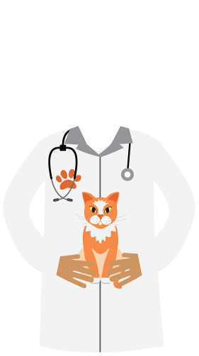 veterinarian attire