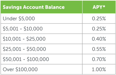 Fifth third investment options